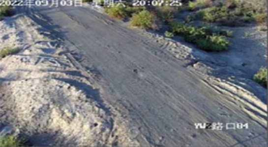 路口監(jiān)控2